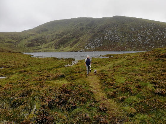 A person with a dog walking away from a lake with a large hill beyond